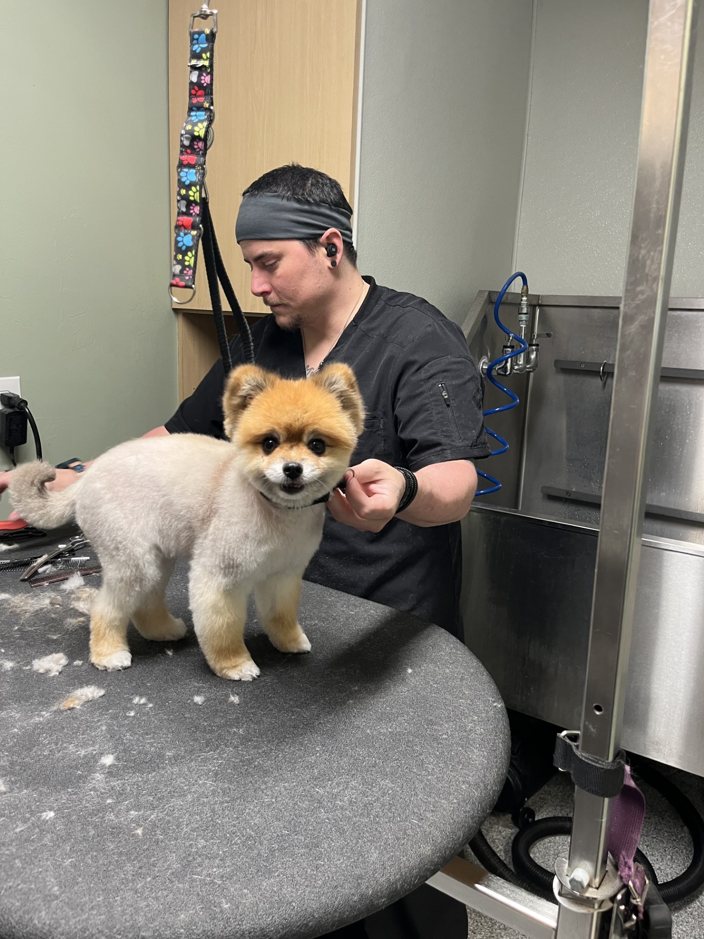 Gallery thumbnail