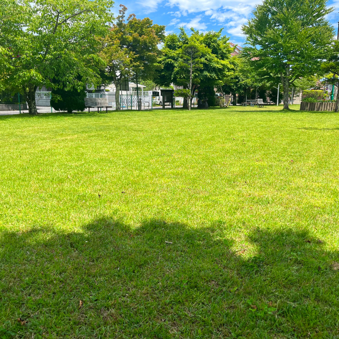 Trimmers Landscaping