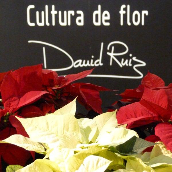 Cultura de Flor