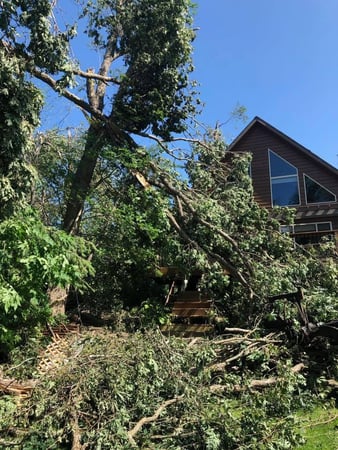 Images JCE Tree Service