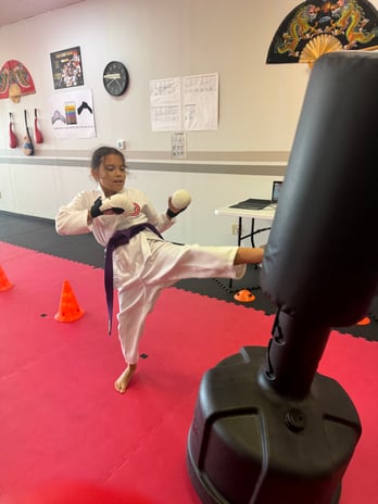Images Jaguar Dojo