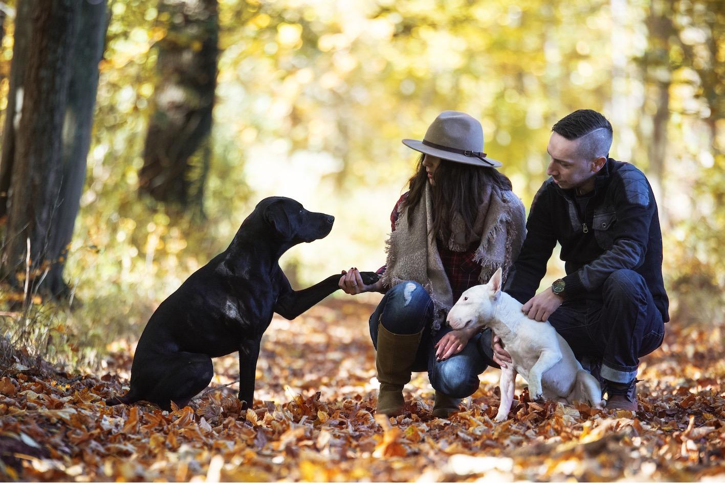Wüstenhube Business Anja Wüstenhube, Im Haselter 75 in Heilbronn