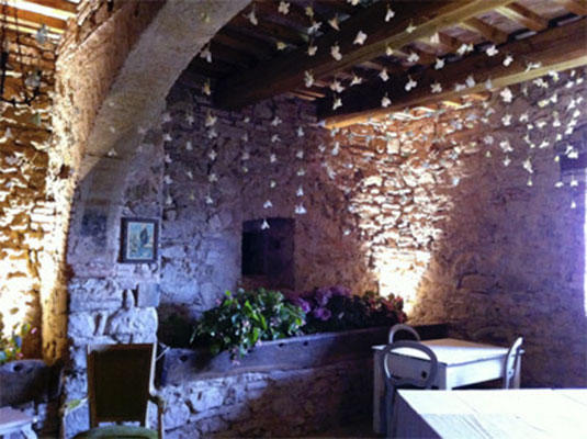 Images Fiori e Piante di Castellani Amedeo e Cristina -Lovely And Flowers