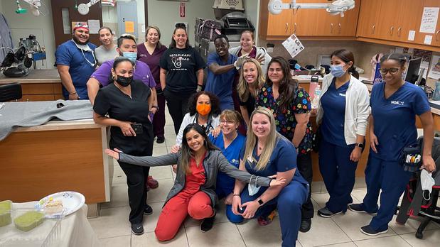 Images VCA Hollywood Animal Hospital