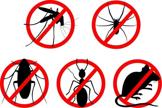 Images Carroll Exterminating Company