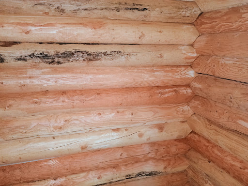 Images Scotty's Painting LLC