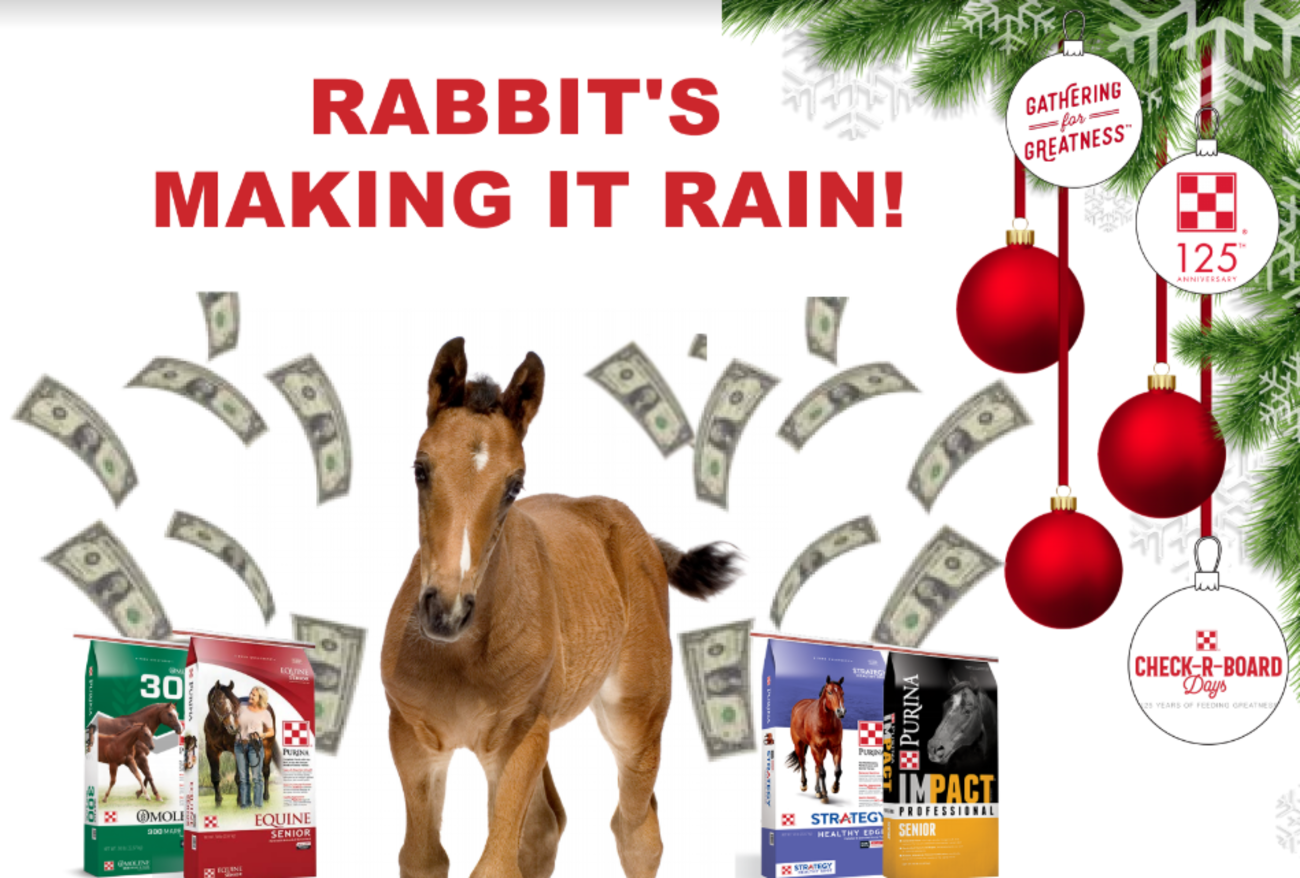 Image of Local Pet Event Rabbit's Making It Rain - Save on Purina and Get Swag!!! Nearby