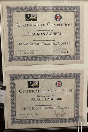 Images Aguirre's Fighting System