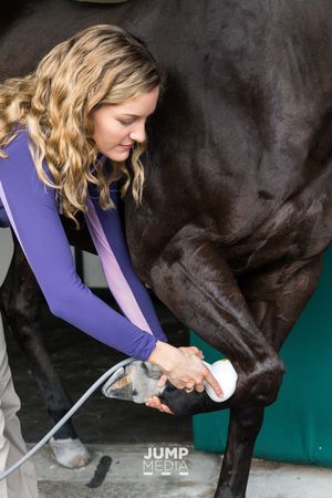Images Palm Beach Equine Clinic