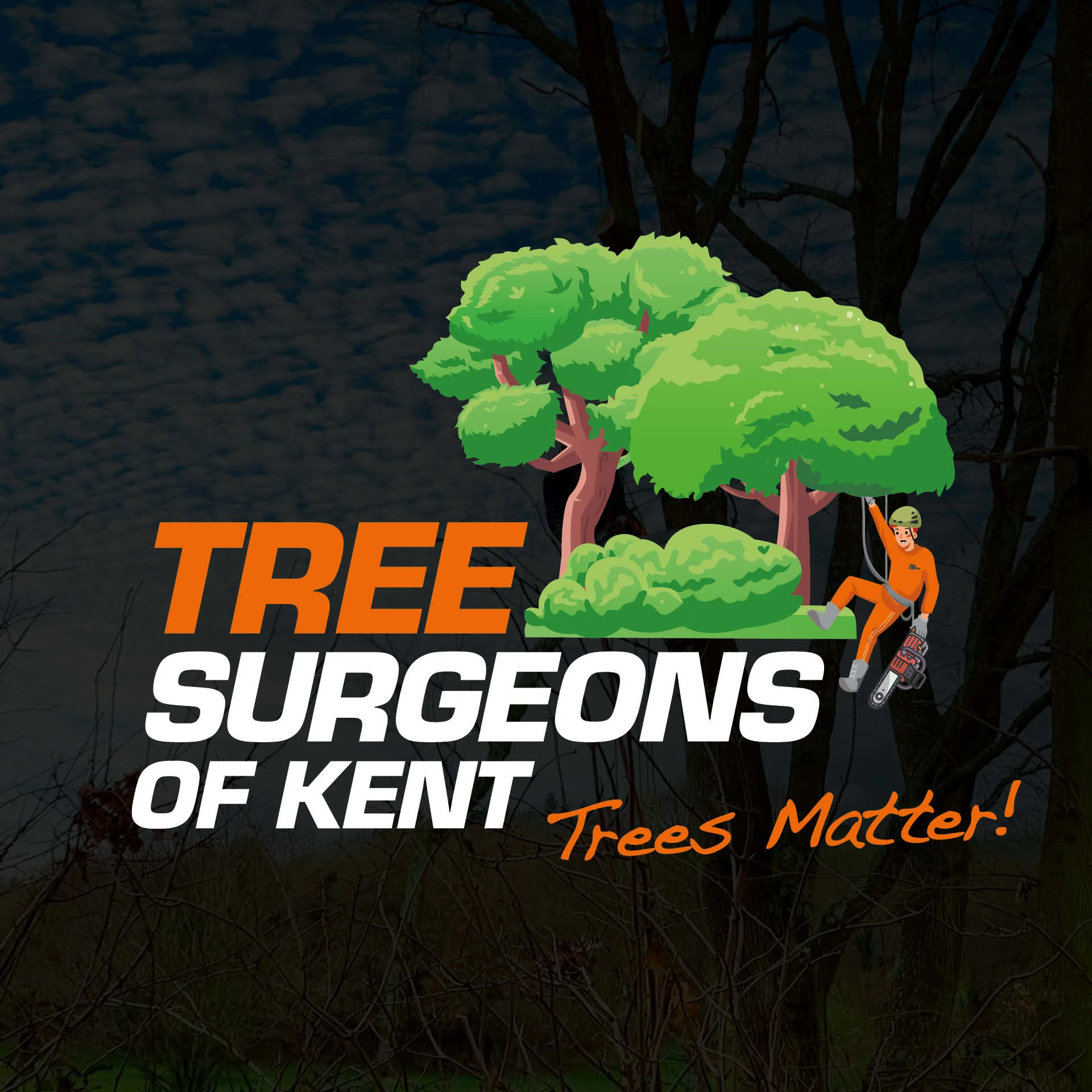 LOGO Tree Surgeons of Kent Maidstone 01622 534747