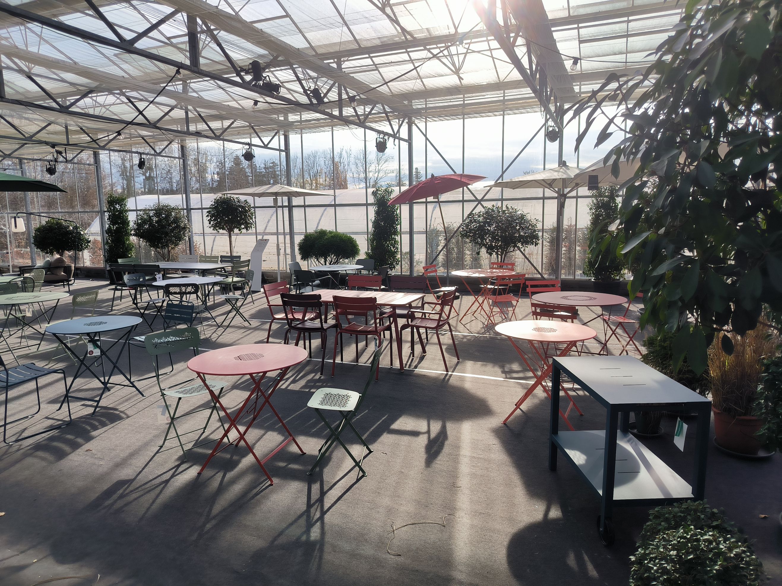 Bilder wüthrich pflanzen ag