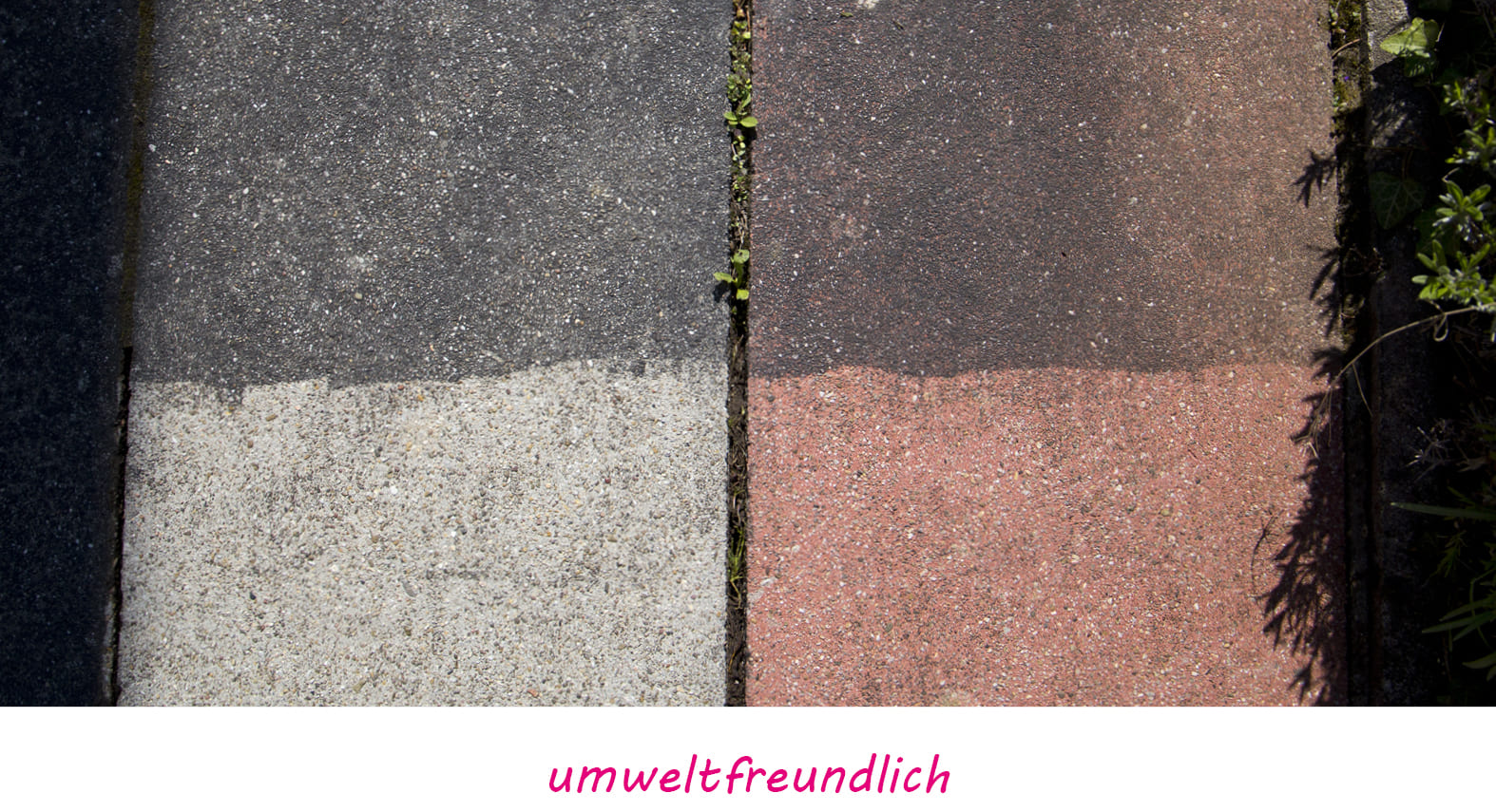 Putz & Wedel, Am Willenbach 13 in Oedheim