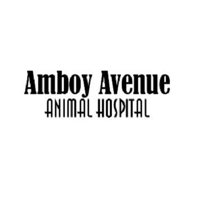 Amboy Avenue Animal Hospital Logo