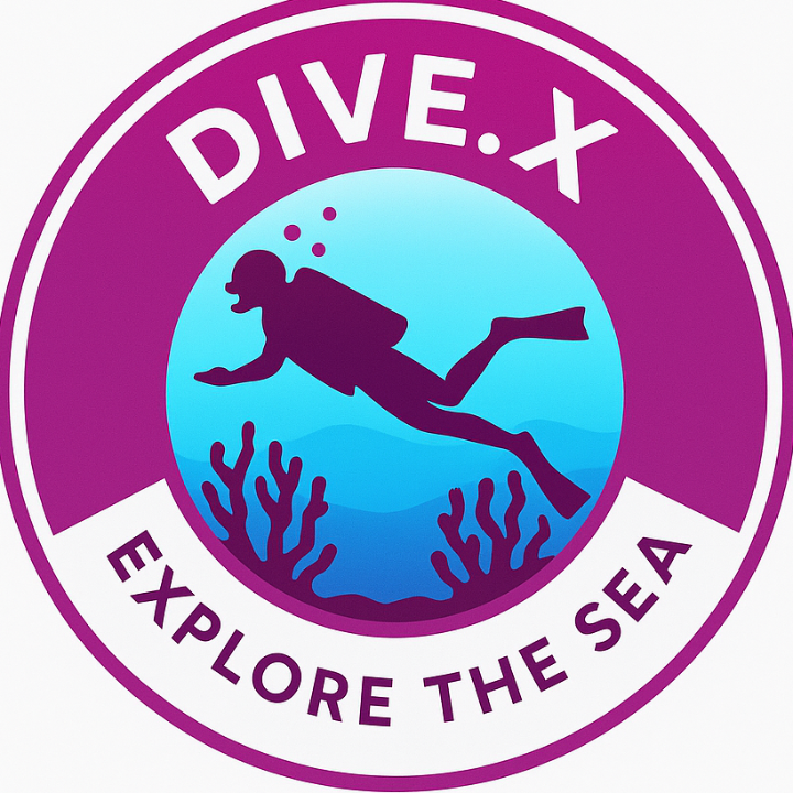 Dive X Egypt  