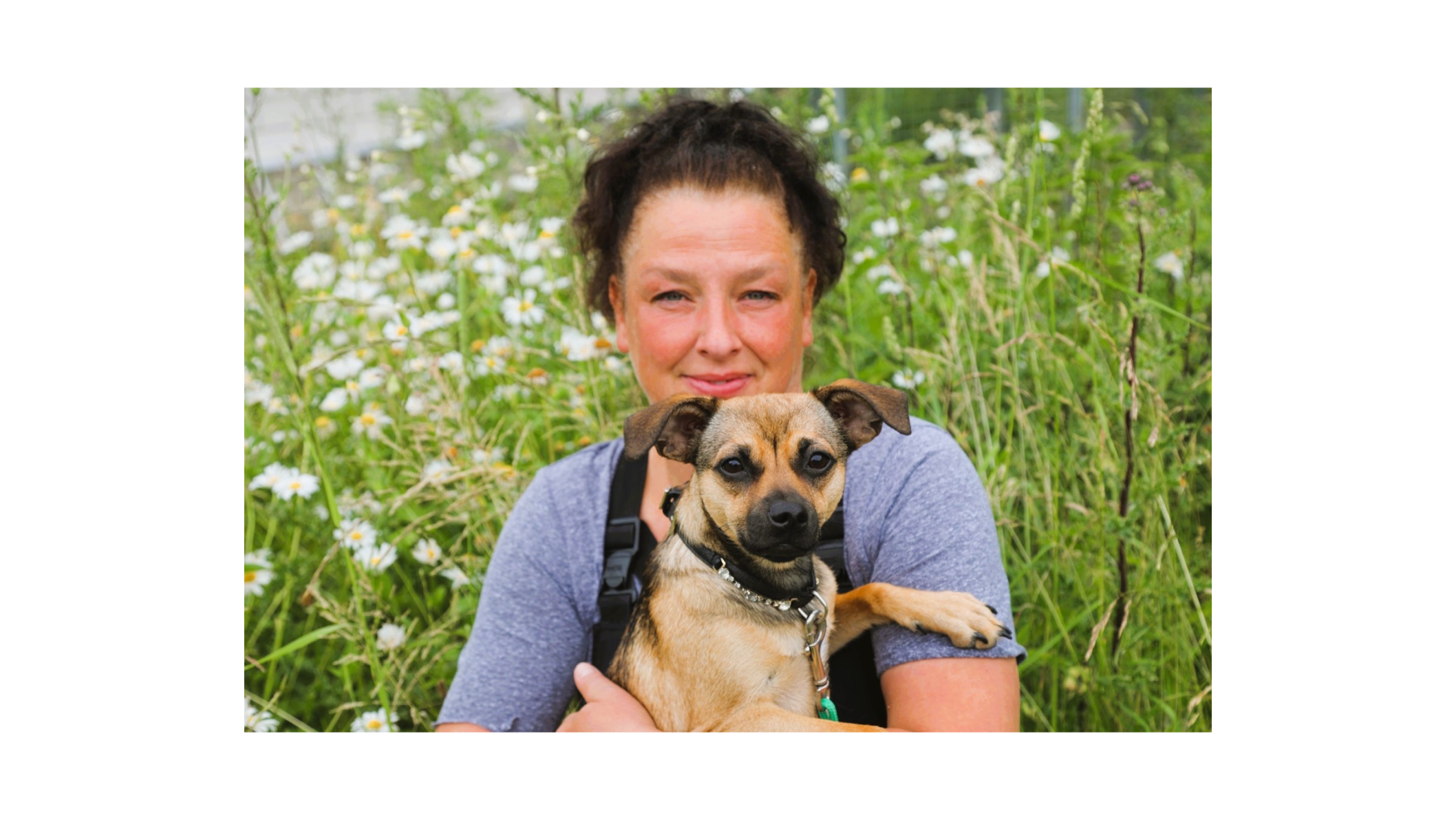 Vetonwheels Tierärztliche Fahrpraxis Katja Dubberstein, Dorfstraße 27 in Panker