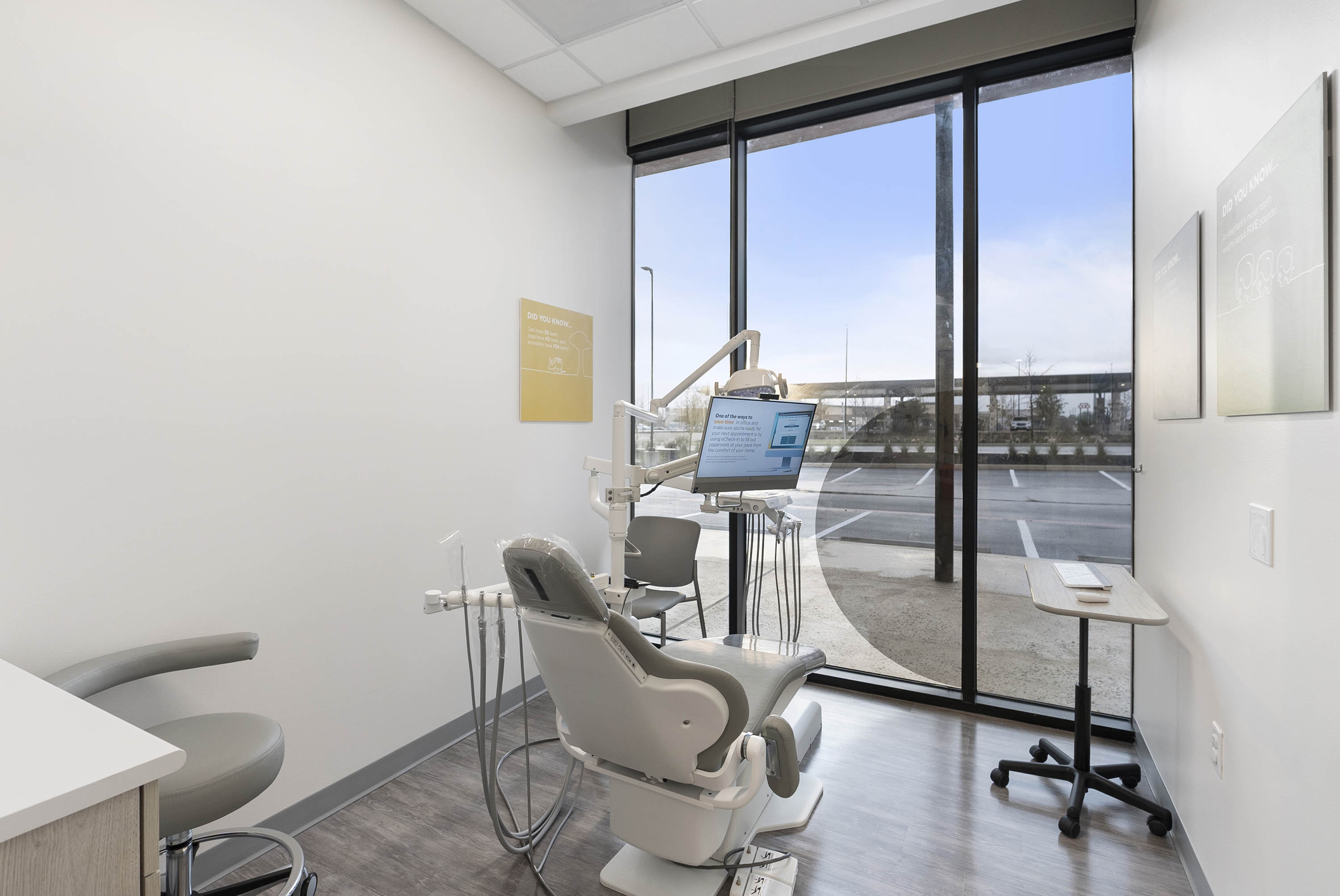 Lemon Creek Kids’ Dentistry & Orthodontics Image