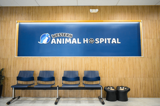 Images Western Animal Hospital