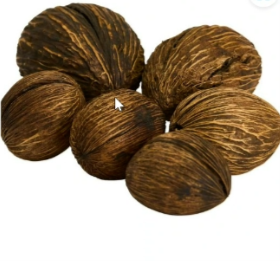 Seed Pods.png