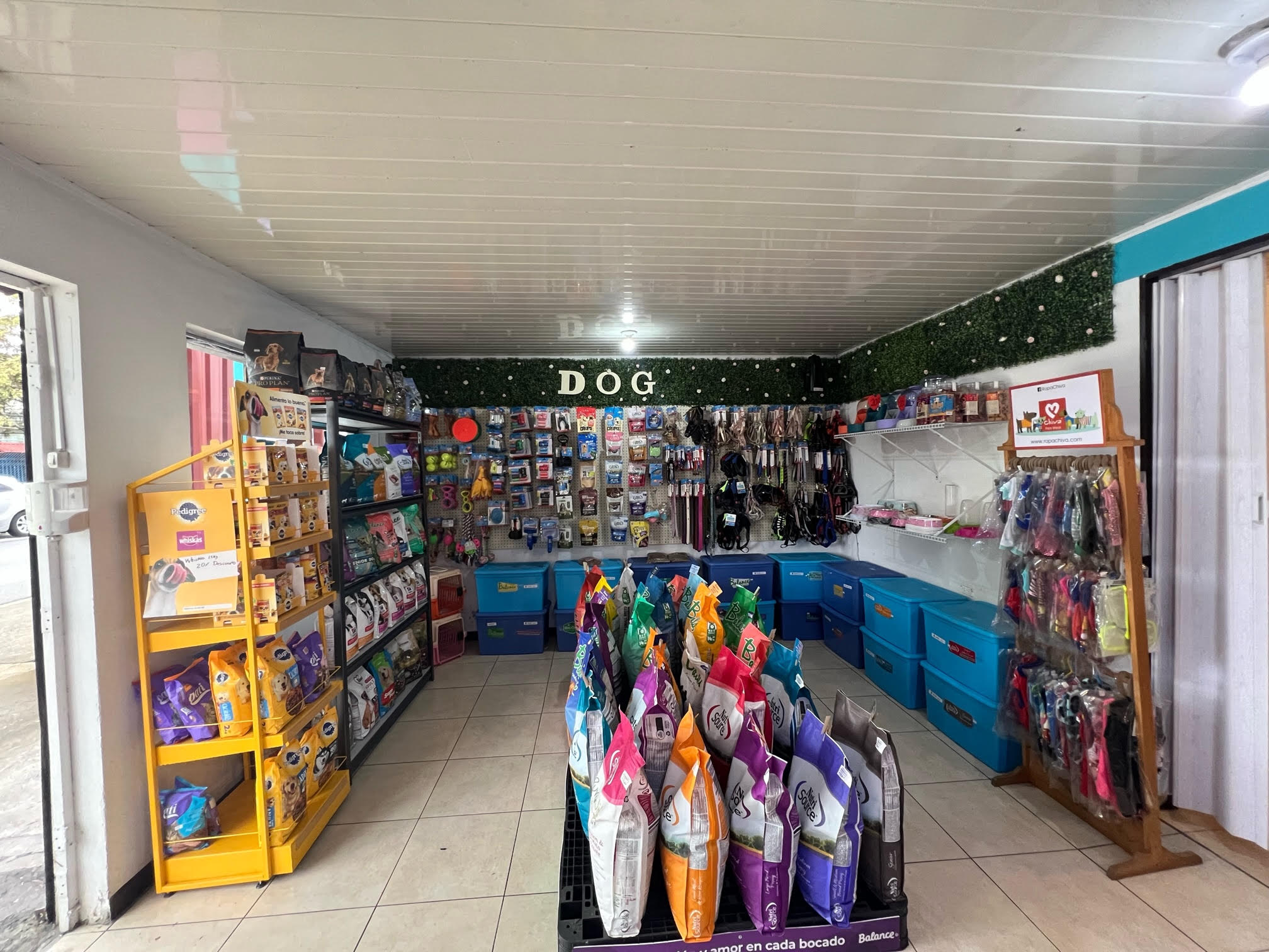 Galería en miniatura