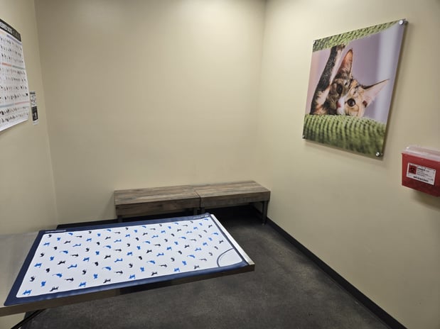 Images Vetco Total Care Animal Hospital