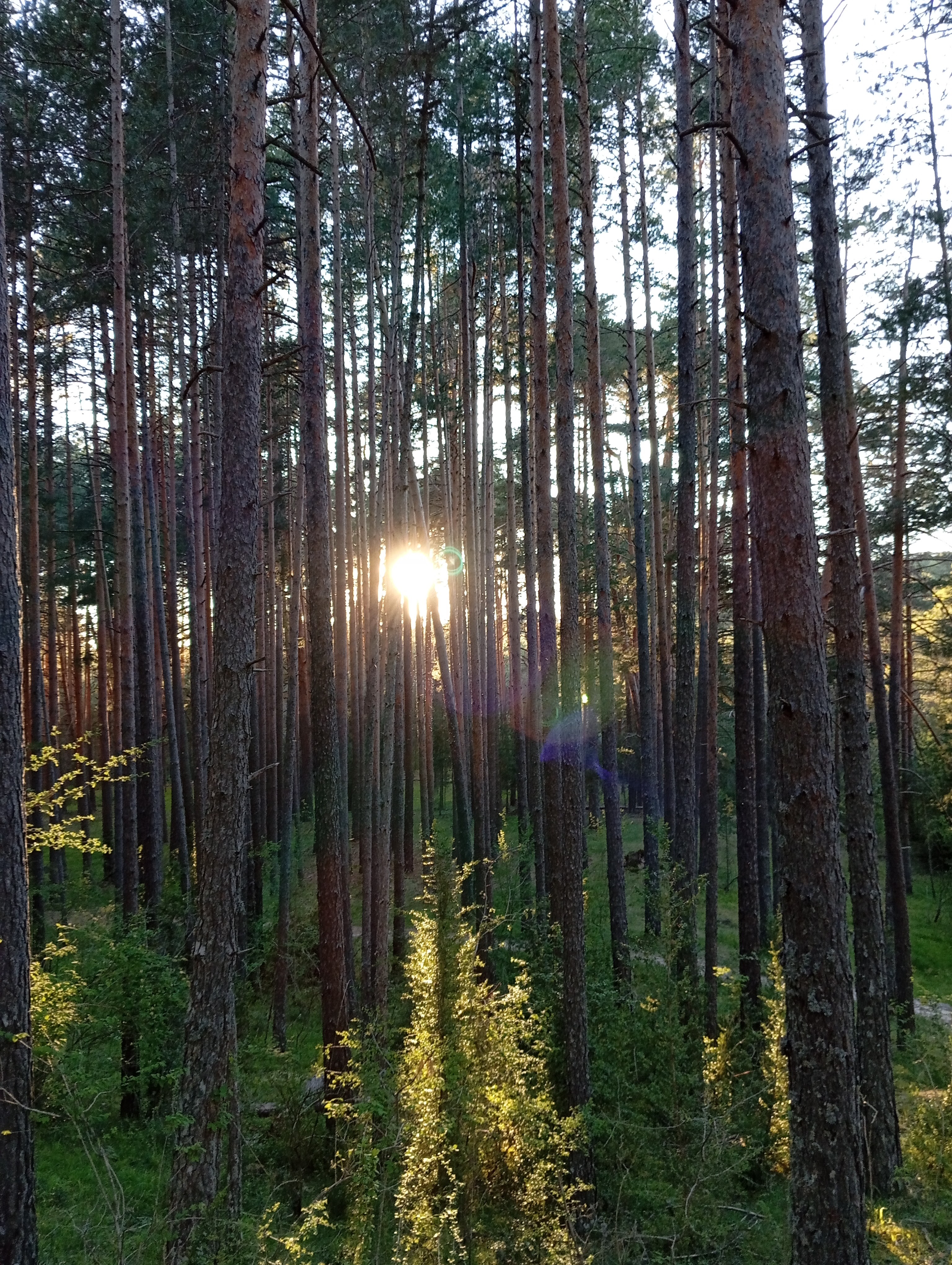 Images Hostal Rural Alto Tajo