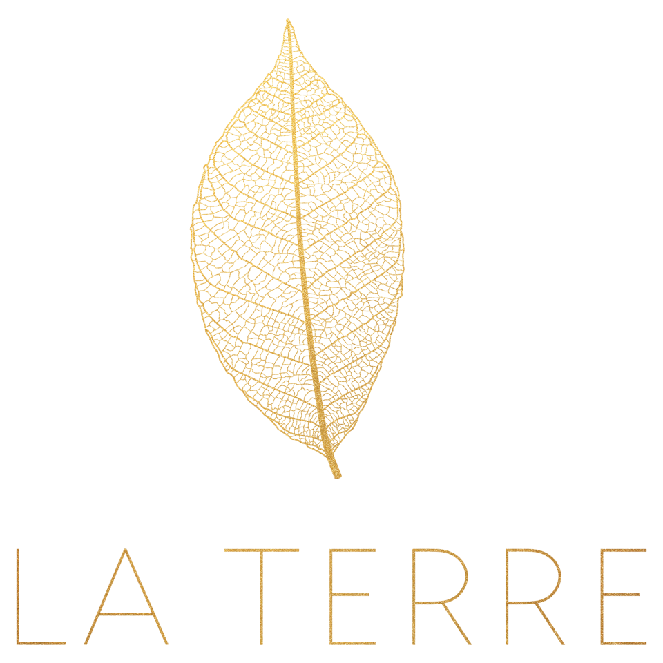 La Terre Logo