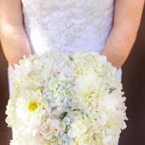 Liv Gracefully Blooms Image