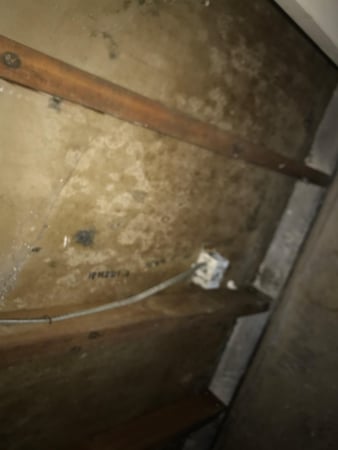 Images Rex Environmental