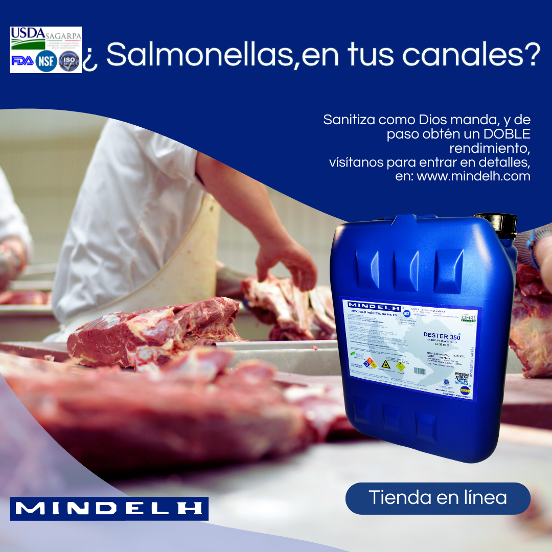 Images MINDELH MÉXICO