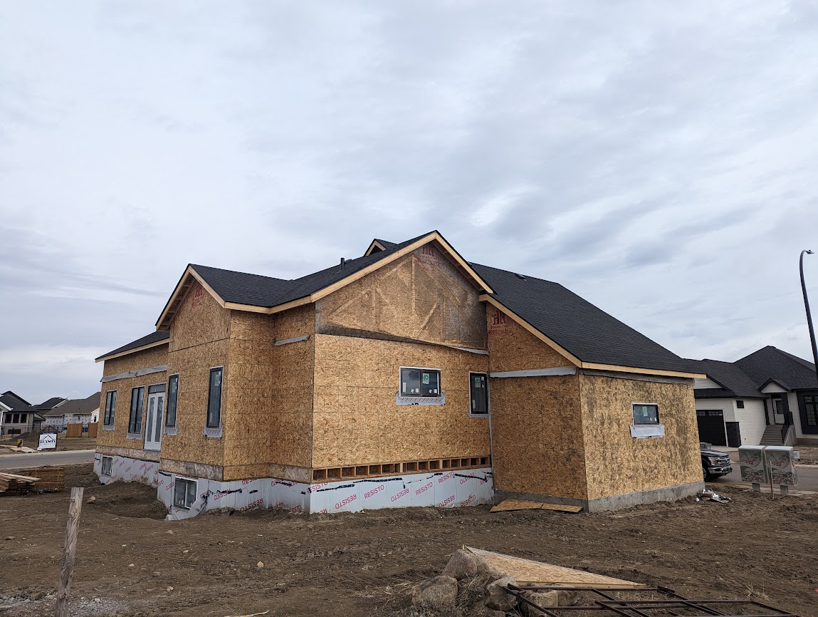Images The Blue Spruce Builder