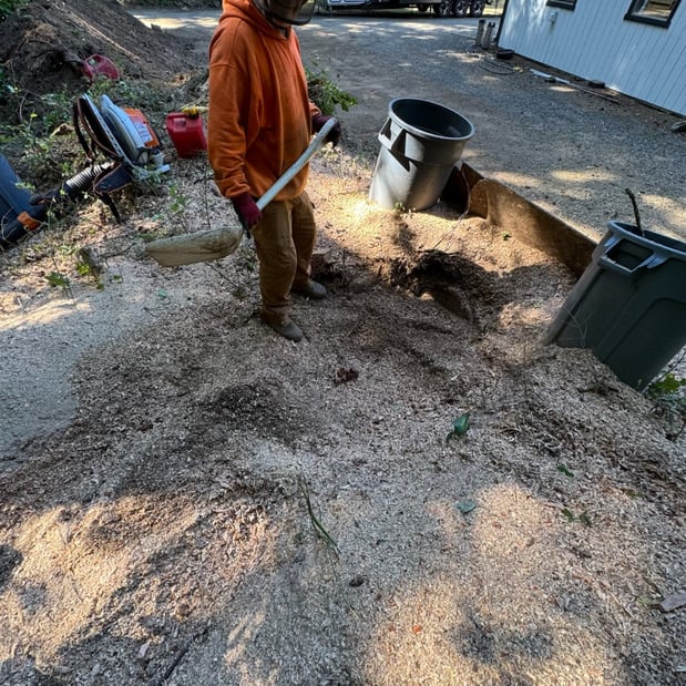 Images Alexa's Tree Service