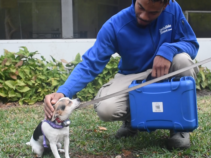 Dog trained for Invisible Fence&reg; protection in Jacksonville, FL
