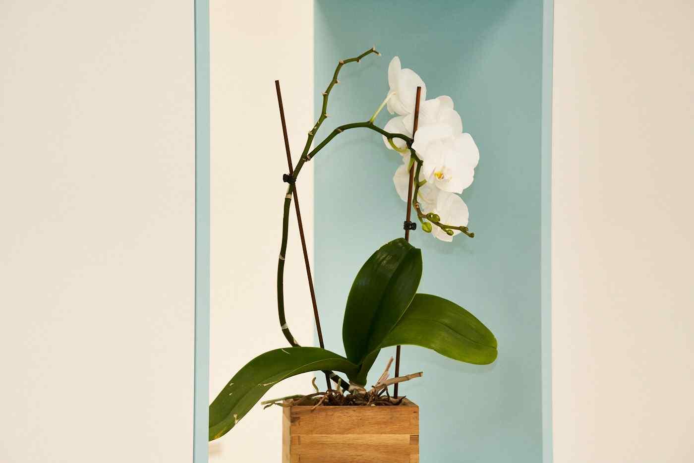 Bild 1 Hausärztliche Praxis Ankum, eine LillianCare-Partnerpraxis in Ankum