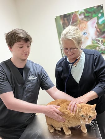 Images Vetco Total Care Animal Hospital