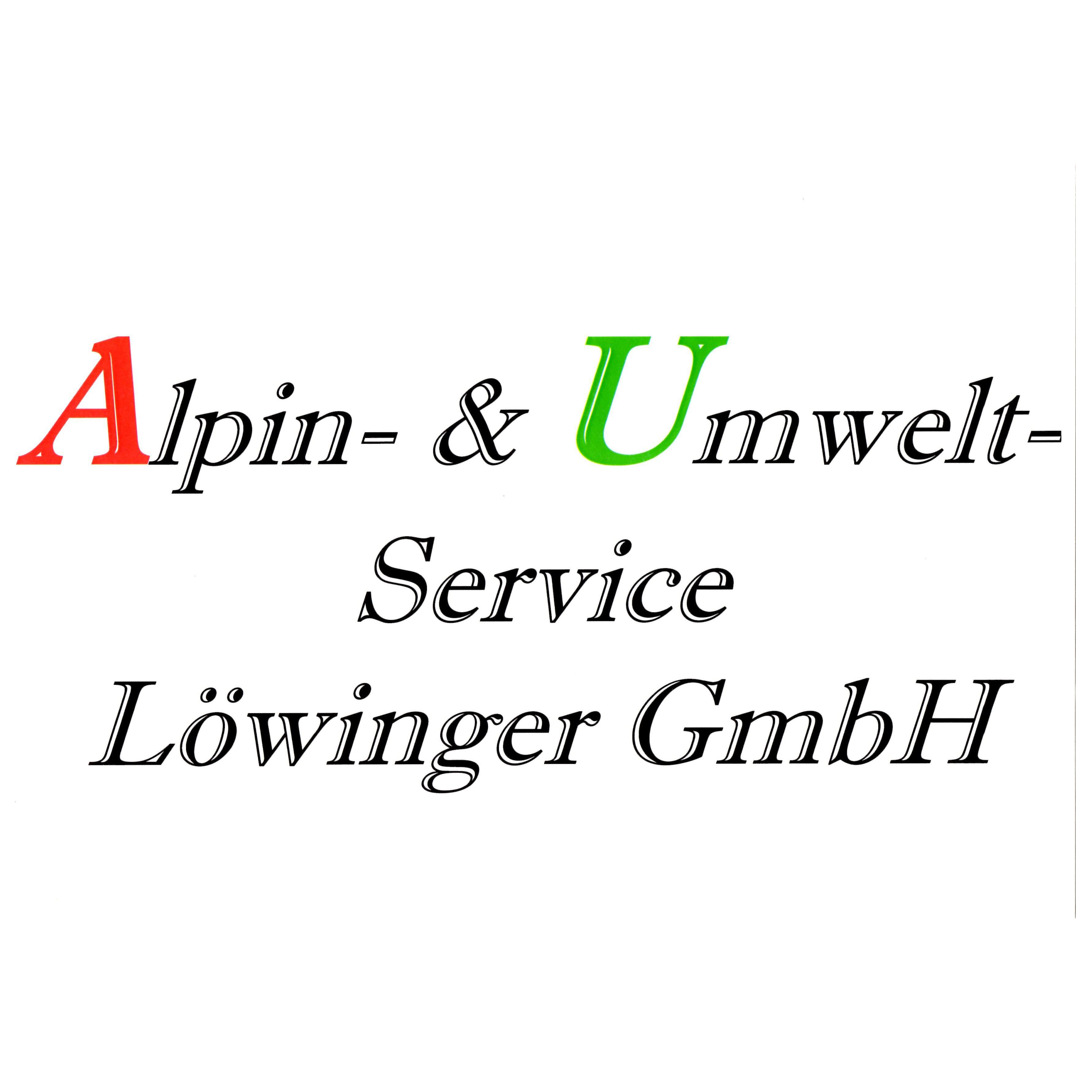 Löwinger GmbH Alpin- und Umwelt-Service in Dresden - Logo