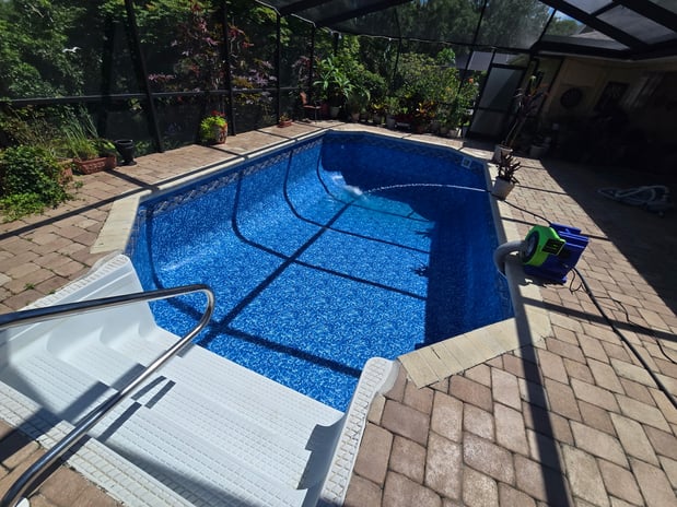 Images Paradise Palm Pools Inc