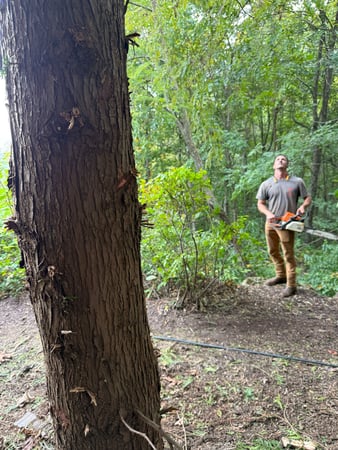 Images My Titan Services