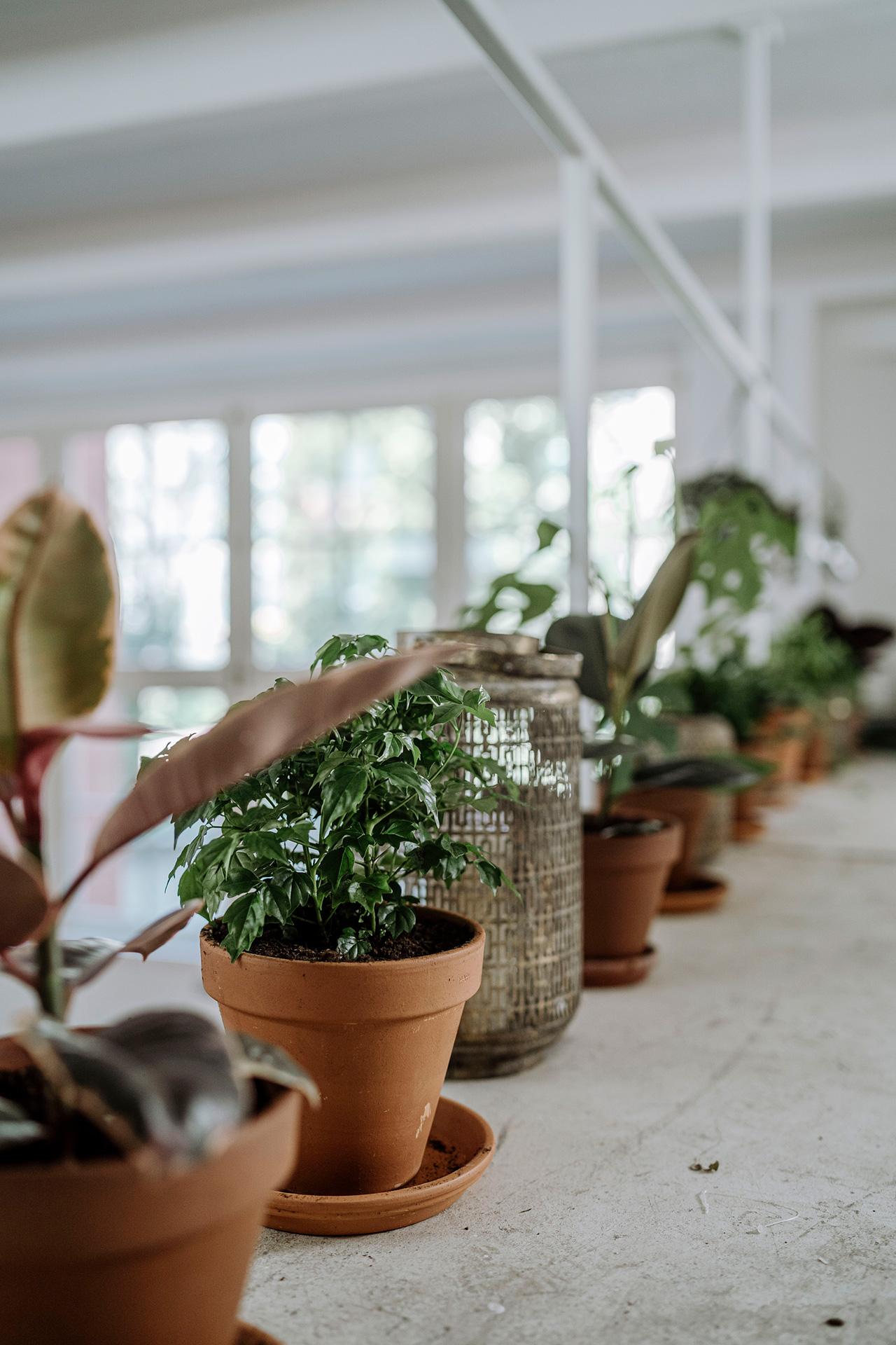 Bilder Fengshuimeisterei