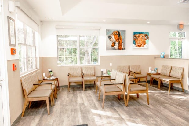 Images VCA Veterinary Hospital of Leon Springs