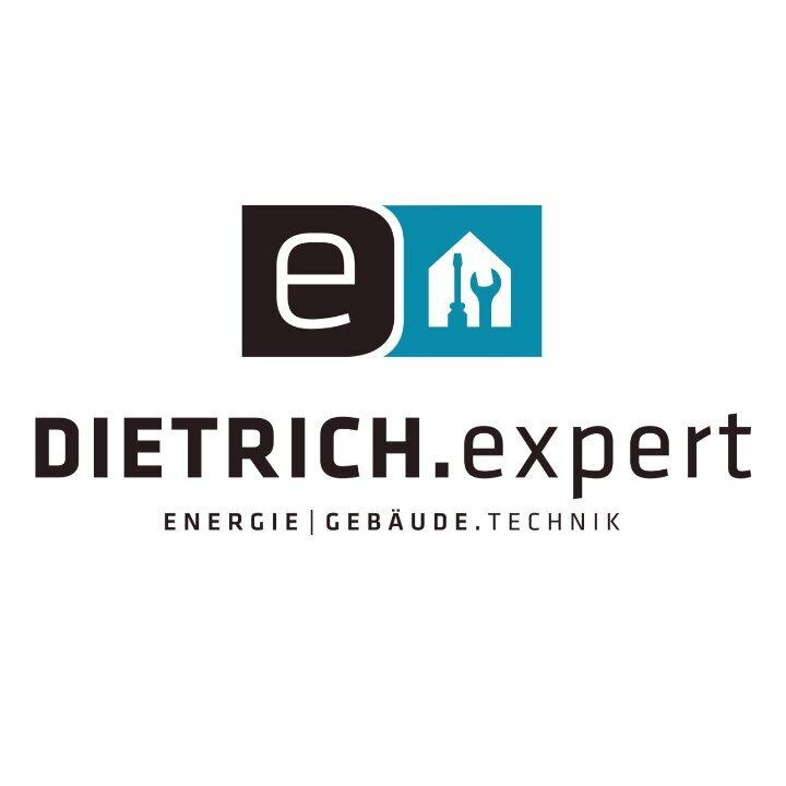DIETRICH.expert GmbH in Ketsch am Rhein - Logo