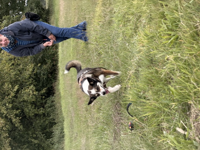 Hundeschule DogGeeks® TonCane: Online & Mobil, Voßbarg 23 in Seevetal