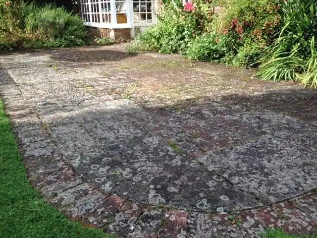 Images The Patio Black Spot Removal Co.Ltd