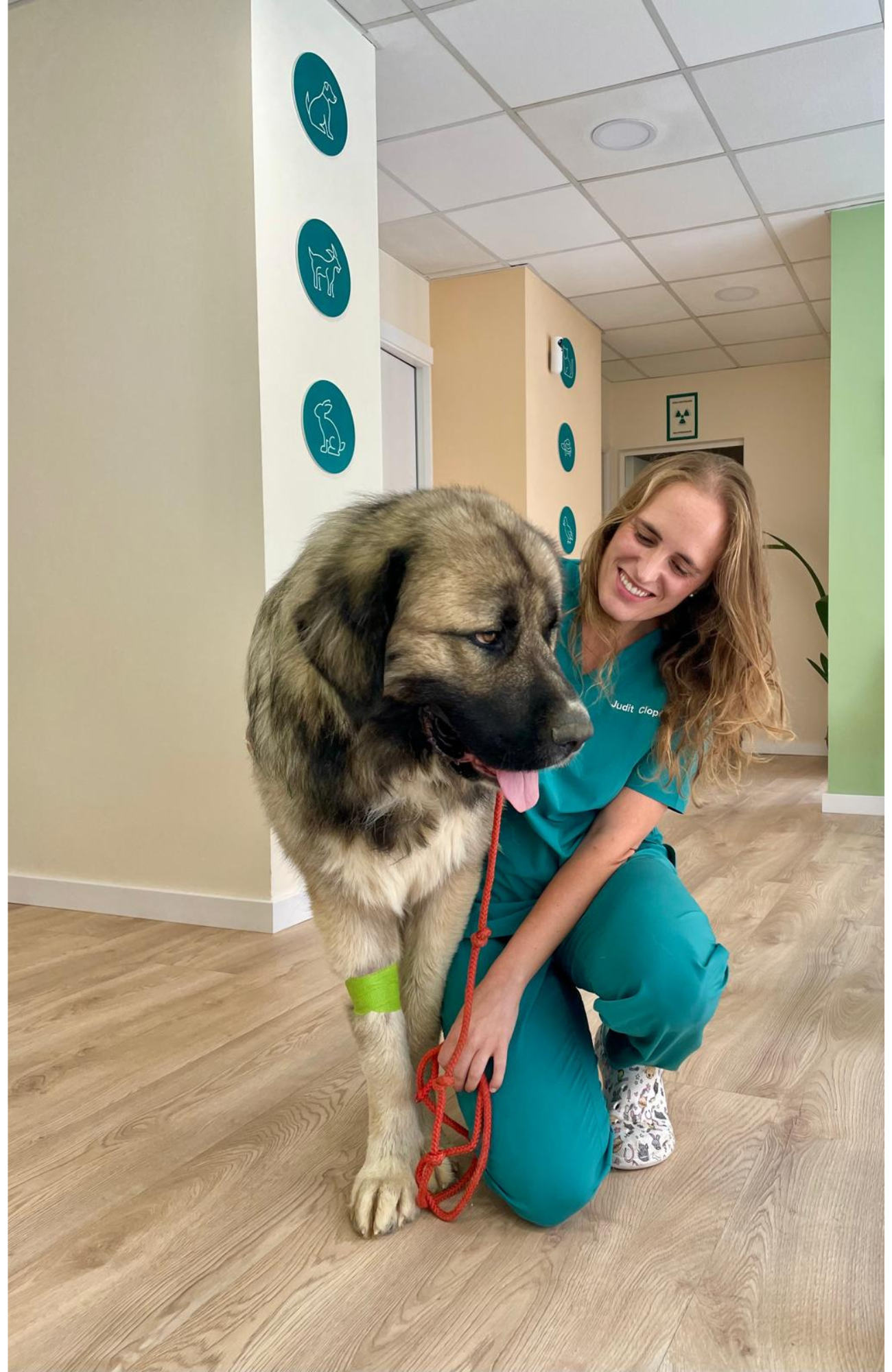 Images Clínica Veterinaria Judit