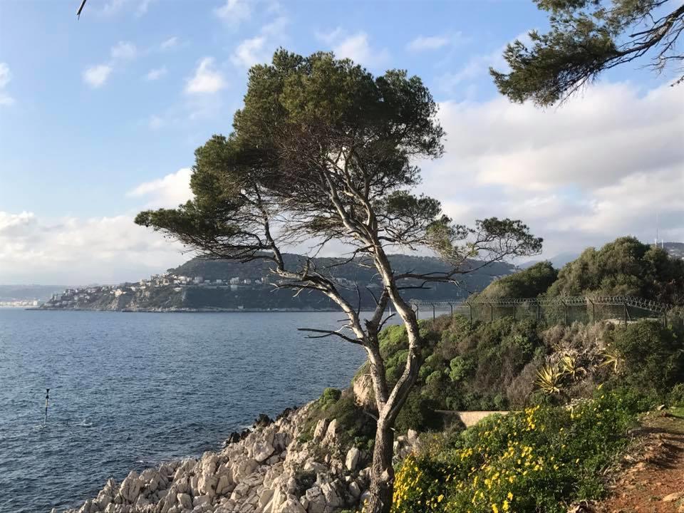 Pierre & Sprachferien GmbH, Margaretenplatz 2/Stiege 2/Top 18 in Wien