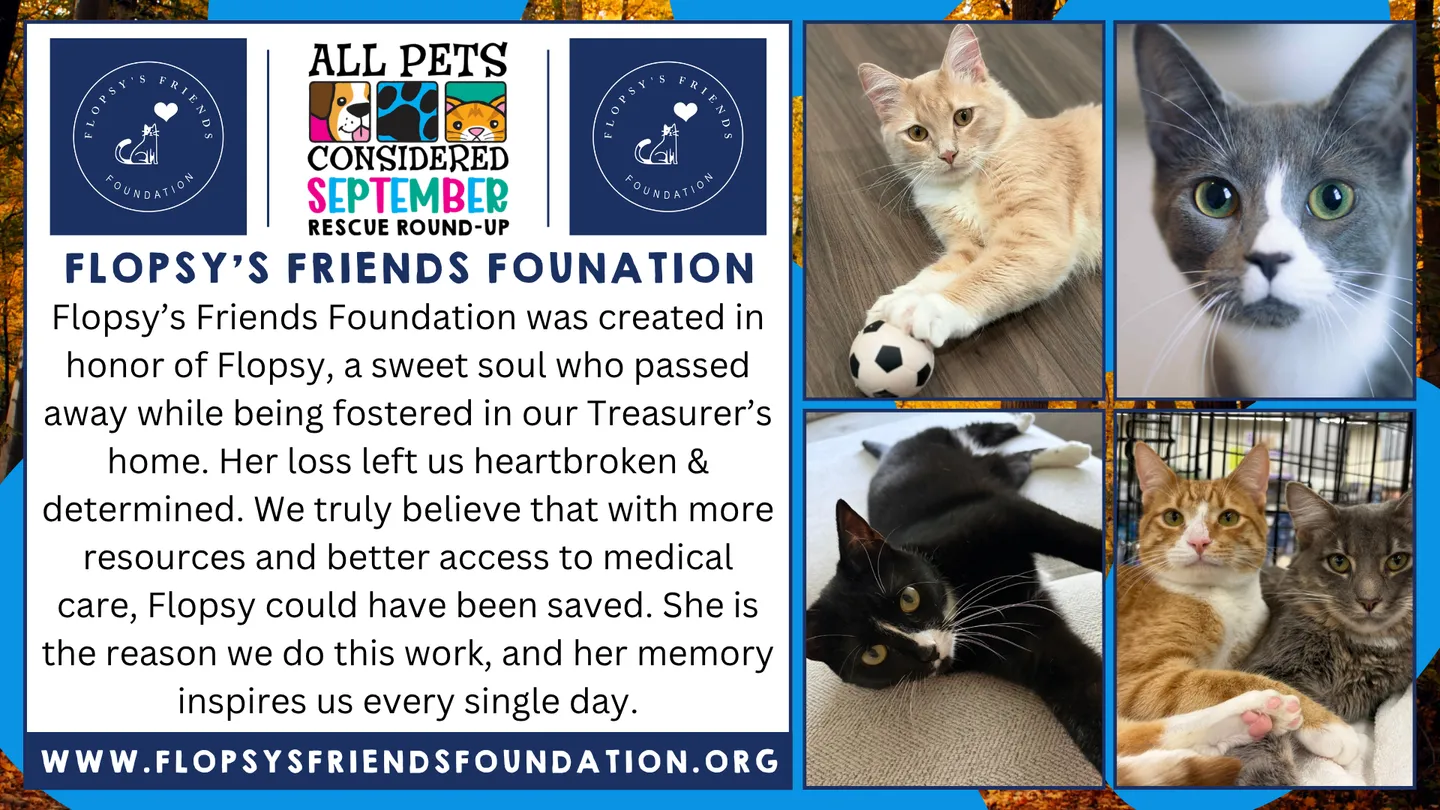 Image of Local Pet Event APC September 2026 Rescue Round-Up Nearby