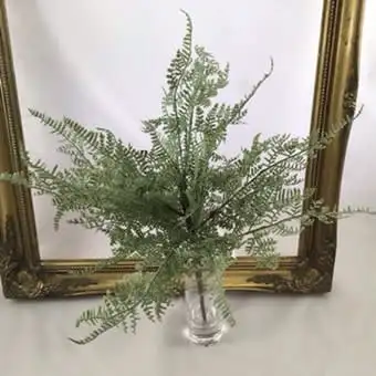 Images Village Green Wholesale Ltd