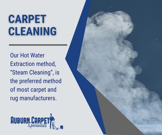 Images Auburn Carpet