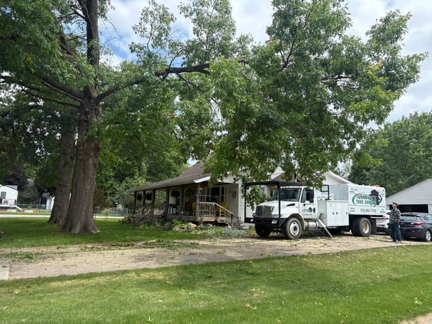 Images Turnbull's Tree Service