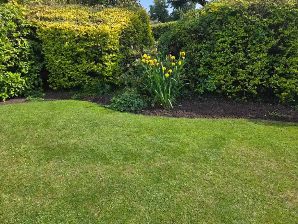 Images J & T Landscaping Ltd