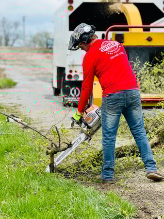 Images Snyder's Tree Service